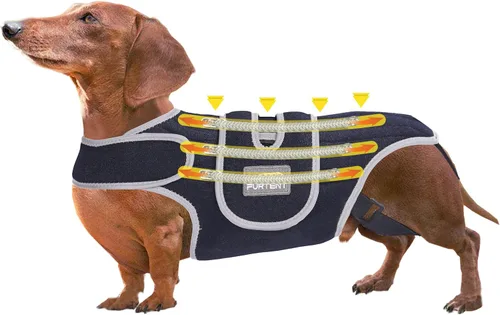 Miniatura 8 de Soporte de espalda para perro para IVDD, molestias en las articulaciones, arnés de apoyo pequeño Furtent para recuperación de perro salchicha