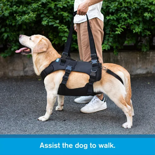 Miniatura 3 de Arnés de elevación para perros, chaleco de elevación de rehabilitación para perros, correa de apoyo y recuperación, correas de elevación ajustables