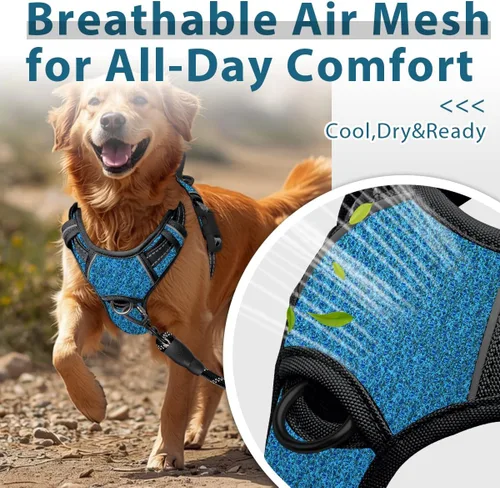 Miniatura 2 de BARKBAY Arnés para perro sin tirones con bolsillo para etiqueta de identificación, resistente, reflectante, fácil control para perros grandes