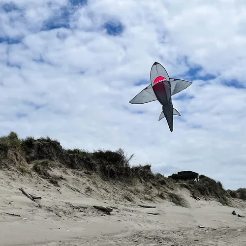 Miniatura 2 de in The Breeze 3D Shark Kite - Single Line - Easy-Flying - Includes Kite Line and Bag