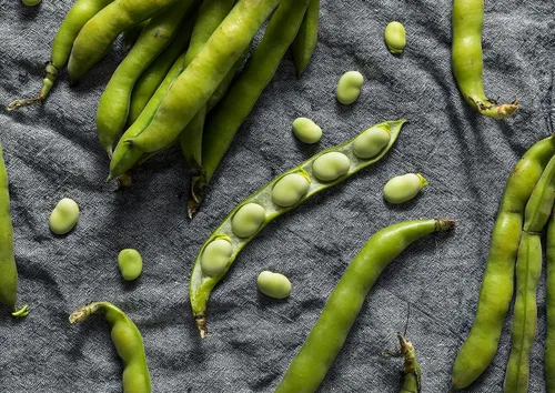 Miniatura 7 de Food to Live Harina de haba orgánica de Fava, 5 libras, sin OMG, finamente molida, pura, cruda, vegana, a granel. Buena fuente de proteínas y fibra.