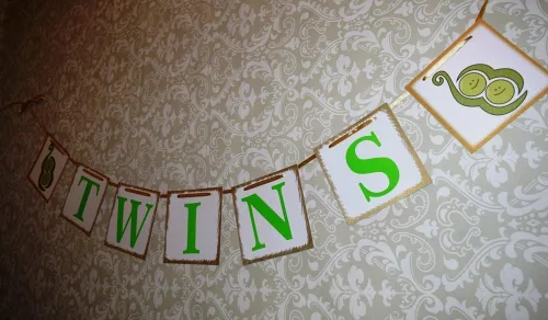 Miniatura 5 de [usa-sales] Twins Baby Shower Banner guirnalda, Baby Shower Decoraciones, Photo Booth props, nuevo diseño contemporáneo de usasales vendedor