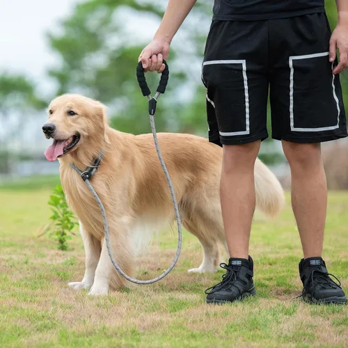 Miniatura 7 de iYoShop Correa antideslizante duradera para perro con mango acolchado e hilos altamente reflectantes, correa de entrenamiento para perros sin Gris