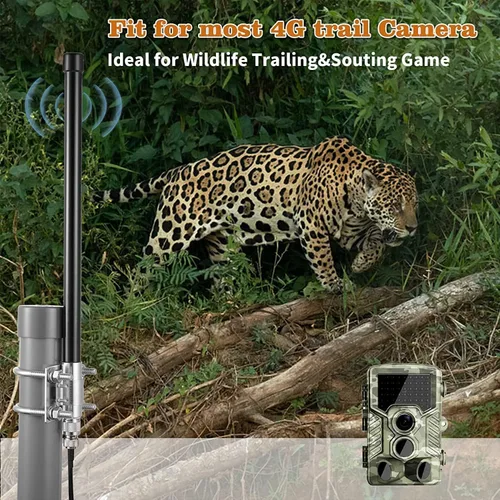 Miniatura 3 de Antena de cámara de rastro celular de largo alcance 4G LTE de 10dBi con cable de 20 pies para cámara Spypoint Flex Flex-M Link Micro Link EVO