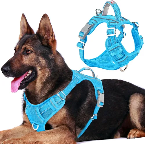 Miniatura 29 de BARKBAY Arnés para perro sin tirones con bolsillo para etiqueta de identificación, resistente, reflectante, fácil control para perros grandes