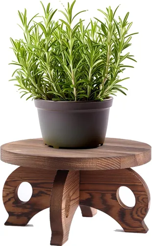 Soporte Decorativo de Esquina para Plantas, Soportes de Madera para Plantas de Interior, Soporte para Plantas con Altura, Soportes Redondos de