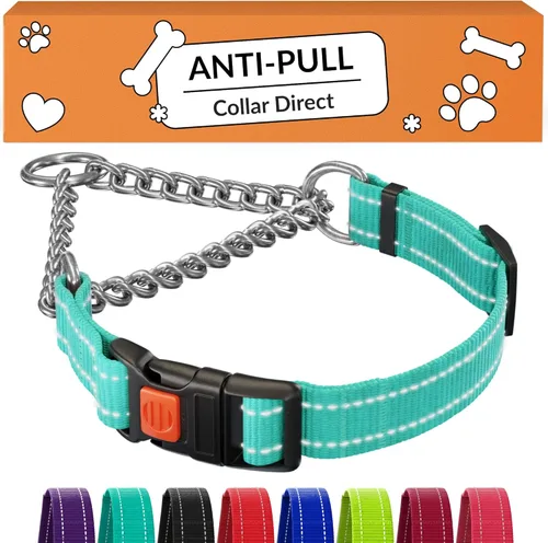CollarDirect Martingale - Collar para perro con cadena de acero inoxidable y hebilla de liberación rápida, collar reflectante para perros grandes,
