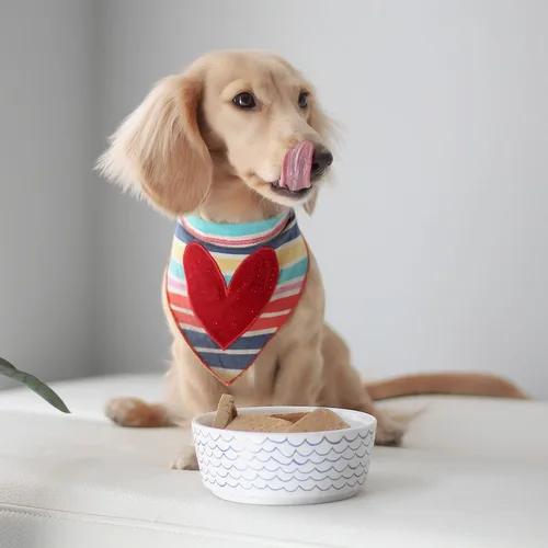 Miniatura 4 de WaggoTazón para perro de ola dibujada, M, Blanco