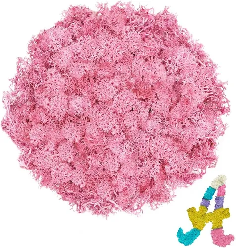 Miniatura 22 de Musgo de reno amarillo preservado de 3.5 onzas para plantas en maceta, decoración artesanal para arte de pared, musgo falso para decoración