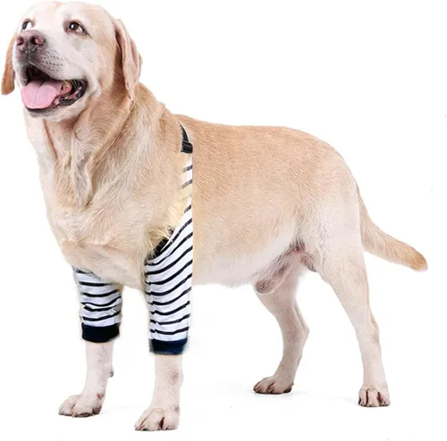 Miniatura 23 de Protector de codo para perro, coderas con almohadilla de malla para perros medianos y grandes para evitar lamer heridas (automóvil, 4XL)