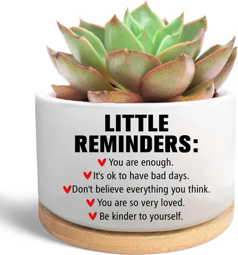 Miniatura 8 de Regalos para Amigas, Desearía Que Vivieras al Lado, Linda Maceta de Suculenta, Maceta de Flores, Regalos de Amistad para Relación a Larga Distancia
