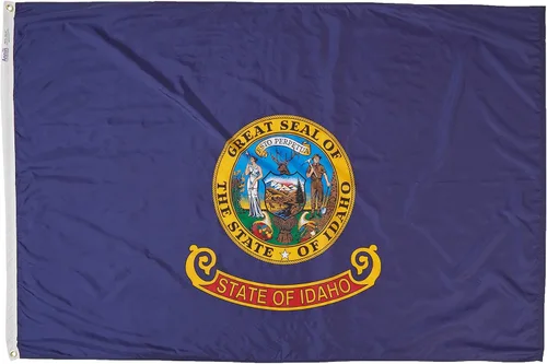 Annin Flagmakers Modelo 141370 Bandera de Idaho fabricada en Estados Unidos según las especificaciones de diseño oficial del estado, 4 x 6 pies