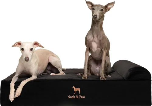 Miniatura 20 de NOAH & PAW Cama para perro, 28x23x7.5 pulgadas, camas ortopédicas para perros de tamaño mediano, espuma viscoelástica tipo cáscara de huevo Cuero