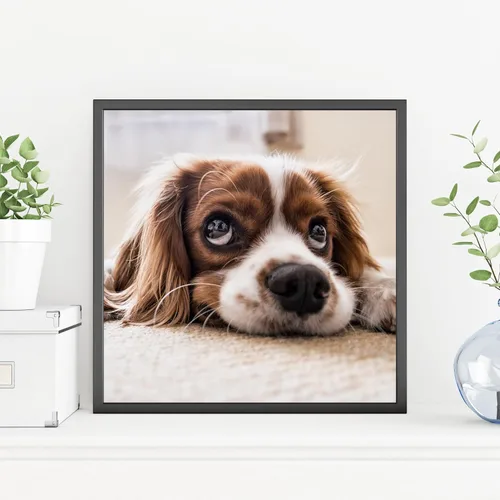Miniatura 5 de Pera Print Sube tu imagen o foto: impresión personalizada de foto a póster, impresiones artísticas de pared (12 x 12 pulgadas)