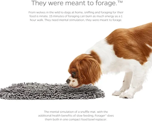 Miniatura 4 de Pet Parents Alfombrillas Forager y Cuenco de Alimentación Lenta para Perros - Alfombrilla de Olor con SoftSnout y Respaldo Antideslizante