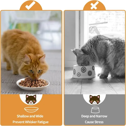 Miniatura 5 de Cuencos de cerámica para gatos de 5.9 pulgadas, platos anchos poco profundos, platos aptos para bigotes, cuenco de comida y agua para gatos