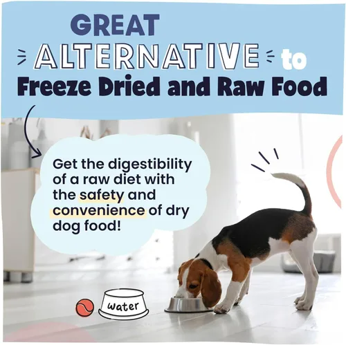 Miniatura 6 de Pawstruck Alimento para perros secado al aire con carne de res real, sin granos, fabricado en Estados Unidos, sin OMG y recomendado por