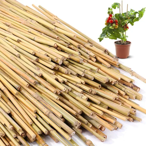 Miniatura 11 de Suclain Juego de 100 estacas de bambú para plantas trepadoras, estacas de bambú resistentes para plantas trepadoras, tomates, frijoles, flores