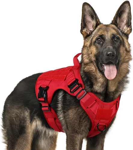 Miniatura 26 de rabbitgoo - Arnés táctico para perros pequeños, arnés resistente para mascotas con asa, chaleco de servicio sin tirones para razas pequeñas, chaleco