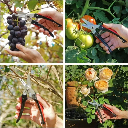 Miniatura 5 de Eden 39006 Tijeras de corte de derivación duraderas, diámetro de corte de 1/4 pulgadas para tallos y ramas, acero al carbono alto, agarre ergonómico