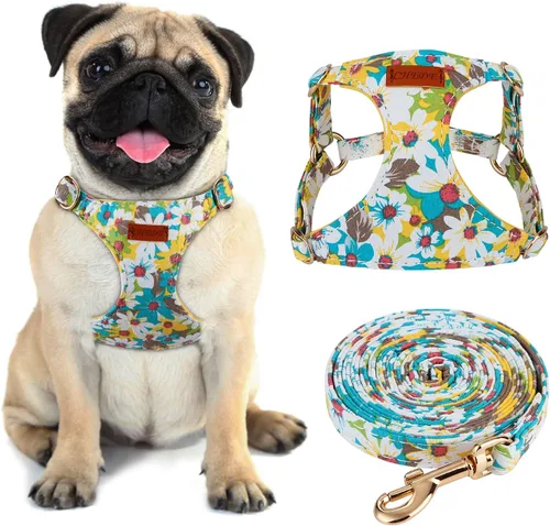 Miniatura 16 de CHEDE Arnés para Perro sin Tirones con Patrón Floral - Arnés para Perro Ligero y Suave, Arnés Ajustable para Perros Pequeños y Juego de Correa