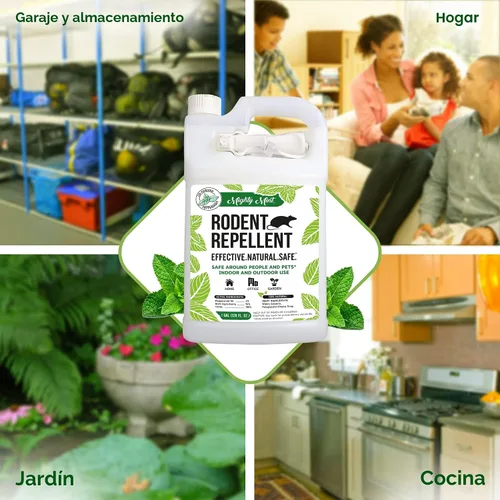 Miniatura 6 de Mighty Mint Spray Repelente de Roedores de Aceite de Menta con Paño de Microfibra – Control Natural para Interiores y Exteriores para Ratones