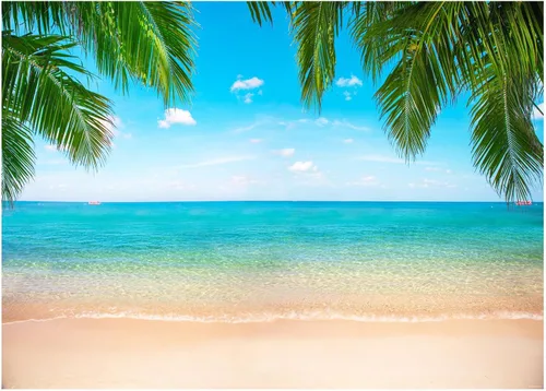 Miniatura 8 de Fondo de playa y océano, fondo tropical hawaiano, fotografía de verano, fotografía de Luau, decoraciones de fiesta temática de Ladvis 82.7 x 59