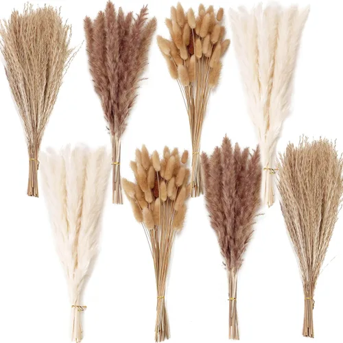 Miniatura 9 de Decoración de hierba de pampa seca natural, 100 piezas de hierba de pampa que contiene colas de conejo blancas flores secas, ramo de hierba de caña