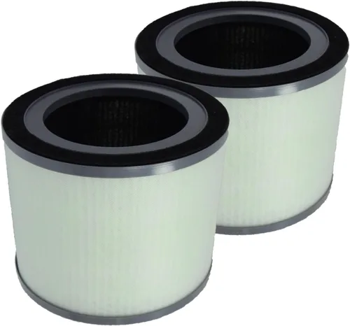 PUREBURG Filtro de repuesto compatible con el purificador de aire Dreamegg TR-8080, paquete de 2 compuestos orgánicos volátiles de carbón activado