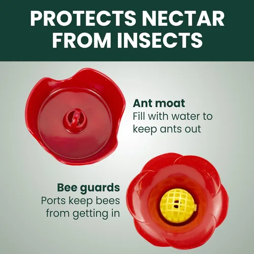 Miniatura 4 de Perky-Pet 203CPBN Comedero de vidrio para colibríes al aire libre con posaderos, foso de hormigas, protectores de abejas - Paquete de 1