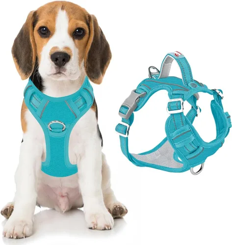 Miniatura 34 de BARKBAY Arnés para perro sin tirones con bolsillo para etiqueta de identificación, resistente, reflectante, fácil control para perros grandes