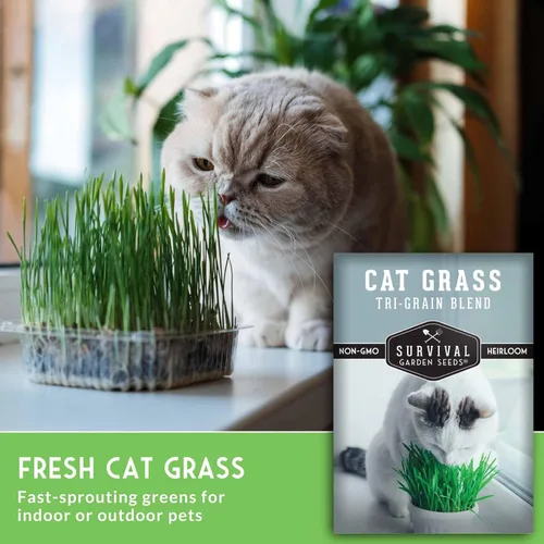 Miniatura 3 de Semillas de hierba para gatos para plantar, 2 paquetes con instrucciones para plantar y cultivar verduras para tu mascota en interiores o exteriores
