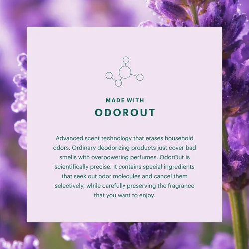 Miniatura 3 de Aera Mini Home Hygiene - Recambio de cápsula de fragancia de aceite esencial de lavanda + bergamota, notas de lavanda, lavanda y menta silvestre