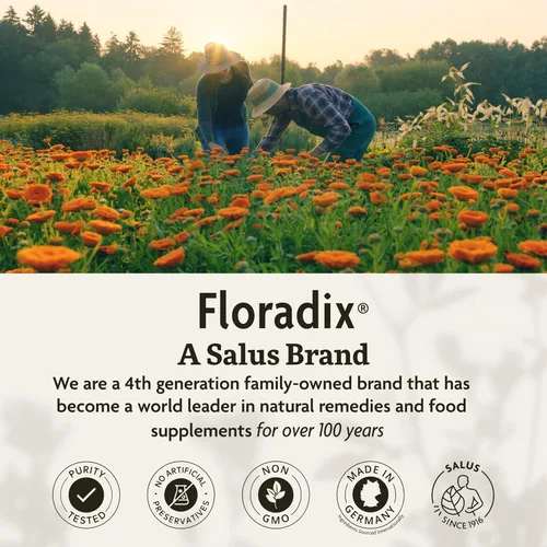 Miniatura 8 de Floradix Hierro + Hierbas - Suplemento de hierro para un apoyo energético saludable* - Apoya la formación de glóbulos rojos - Vegano, sin OMG, sin