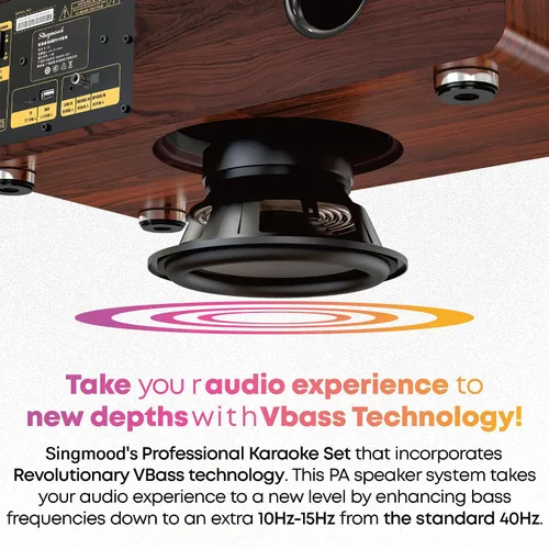 Miniatura 6 de Máquina de karaoke con 2 micrófonos UHF, subwoofer, barra de sonido de audio para cine en casa, compatible con óptico/Bluetooth/AUX/USB/PC, máquina
