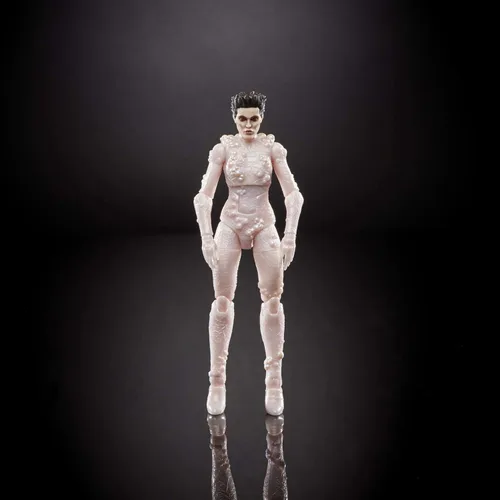 Miniatura 5 de Ghostbusters Plasma Series Gozer - Figura de acción clásica coleccionable de 1984 a escala de 6 pulgadas, juguetes para niños a partir de 4 años