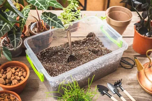 Miniatura 2 de Eleva tu Calathea con la mezcla orgánica de tierra de Gardenera - Cultiva un follaje más saludable y cautivador - 1 cuarto de galón