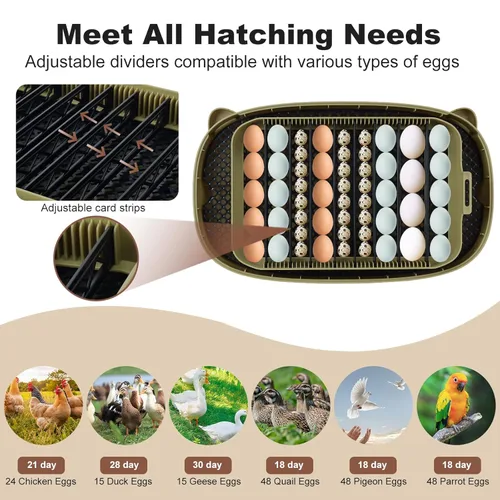 Miniatura 3 de Incubadoras para incubar huevos, incubadora inteligente de 24 huevos con giro automático de huevos y control de humedad, incubadora de alta tasa