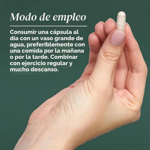 Miniatura 4 de Primal Harvest Primal Multivitamin - Suplemento diario multivitamínico con 21 vitaminas y minerales esenciales para mujeres y hombres, vitamina A