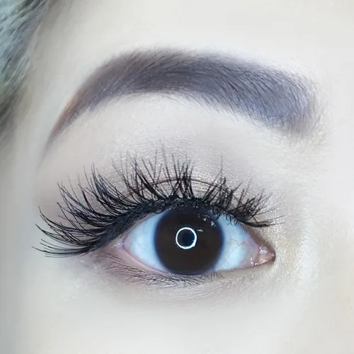 Miniatura 8 de AOA Studio Alexis - Juego de 6 pares de pestañas postizas naturales hechas a mano con pegamento y pinzas, volumen natural, reutilizables, pestañas