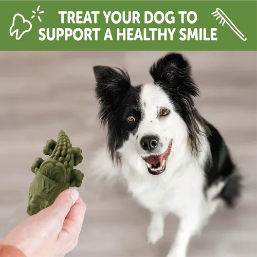 Miniatura 6 de Whimzees Wellness Alligator - Golosinas dentales para perros, masticables naturales, tamaño mediano, (12 unidades)