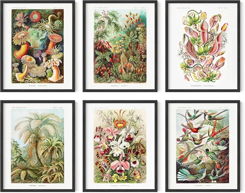 Miniatura 45 de HAUS AND HUES Impresiones de arte asiático, juego de 6 decoraciones japonesas contemporáneas de pared, pinturas de hokusai, carteles de ondas, Juego