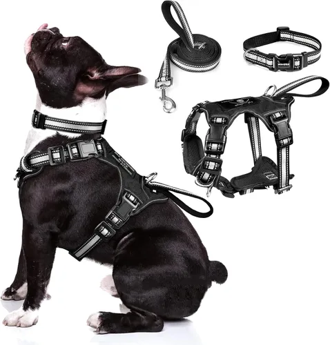 Miniatura 18 de WINSEE - Juego de arnés, collar y correa para mascotas, todo en uno, arnés reflectante para perros sin tirones con hebillas ajustables para Rojo