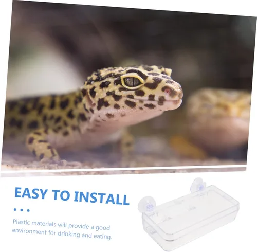 Miniatura 9 de Beavorty Tazón de alimentación de lagarto con ventosa, comedero de reptiles, reptiles, reptiles, reptiles, comedero de gecko, plato de gusano