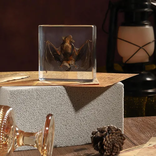 Miniatura 9 de Murciélago de taxidermia, especímenes de murciélago reales en resina para educación científica en el aula, gran regalo para fanáticos