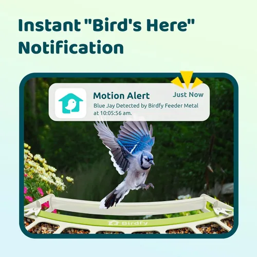 Miniatura 5 de Birdfy Comedero inteligente para pájaros con cámara, alimentador de pájaros de metal duradero para exteriores, detección automática y grabación