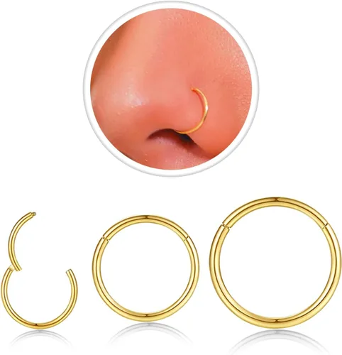 Miniatura 26 de Nose Rings Hoop and Nose Studs Sets for Women Men,Hypoallergenic 316L Surgical Stainless Steel Hinged Clicker Segment Nose Rings Hoop Helix