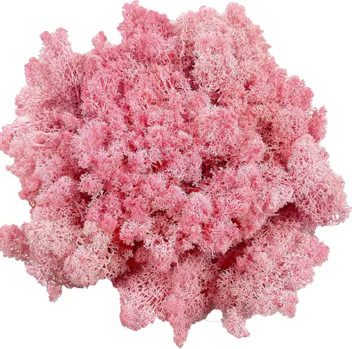 Miniatura 17 de Musgo artificial preservado de musgo para plantas en maceta, musgo verde fresco natural para manualidades, decoración de pared floral, centros
