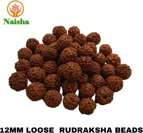 Miniatura 6 de Naisha Natural Rudraksh - 121 cuentas sueltas de Rudraksha Mala, cuentas de oración genuinas de meditación del Himalaya, cuentas Bodhi de 0.35-0.55