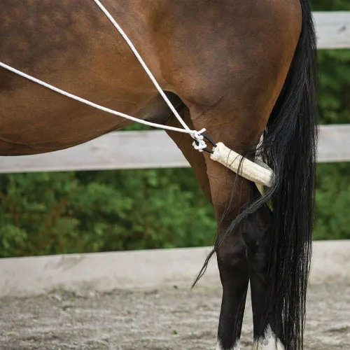 Miniatura 6 de Sistema de entrenamiento europeo avanzado Herramienta de entrenamiento avanzada Mejora el carro de caballos y los auriculares Fomenta